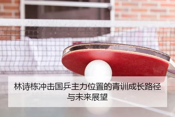 林诗栋冲击国乒主力位置的青训成长路径与未来展望