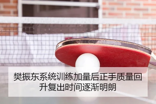 樊振东系统训练加量后正手质量回升复出时间逐渐明朗